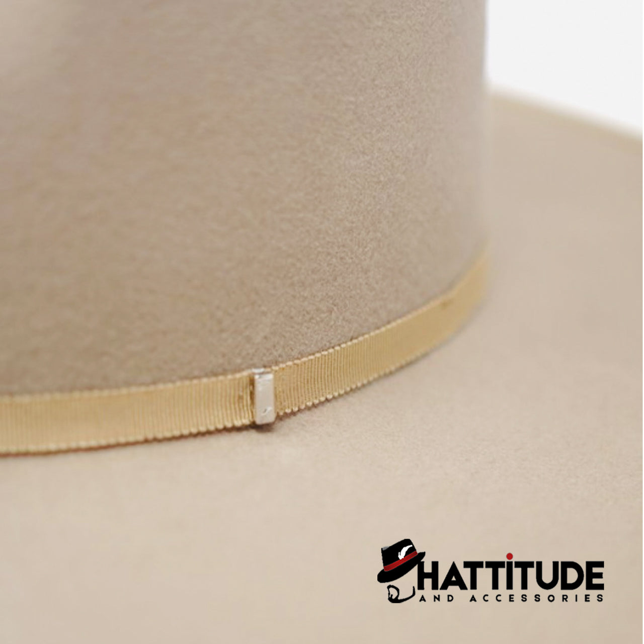Billie - Hattitude