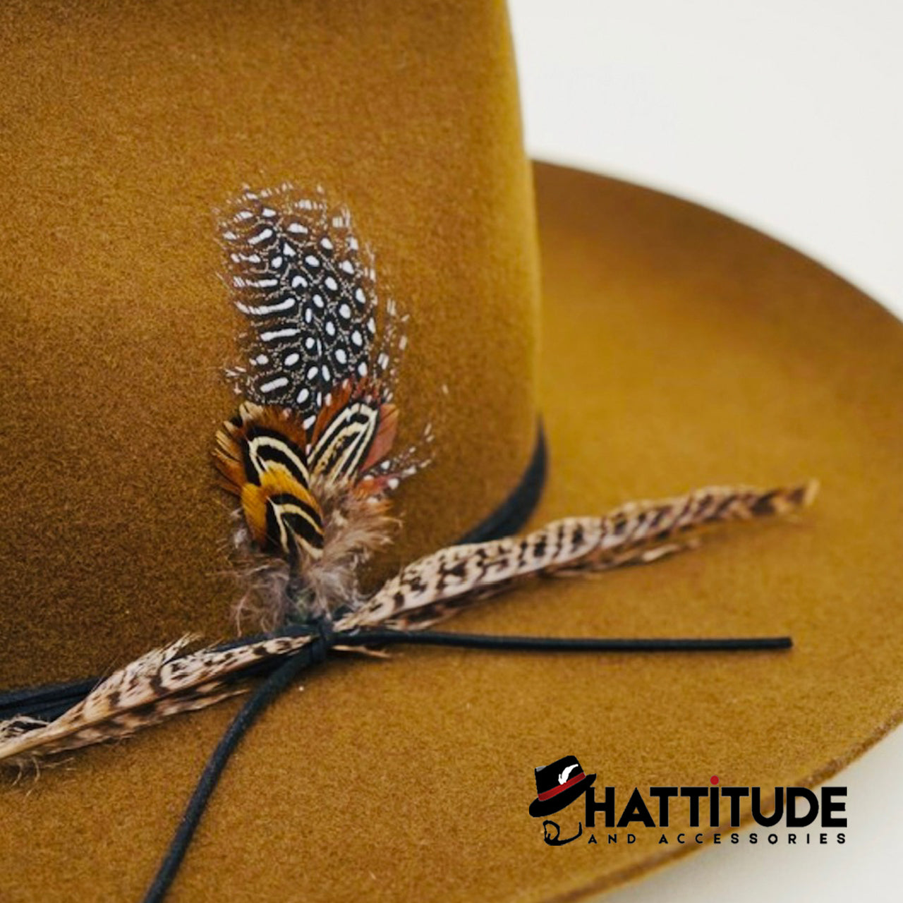 Corbett - Hattitude