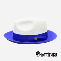 Thumbnail for The Salvatore White and Blue - Hattitude