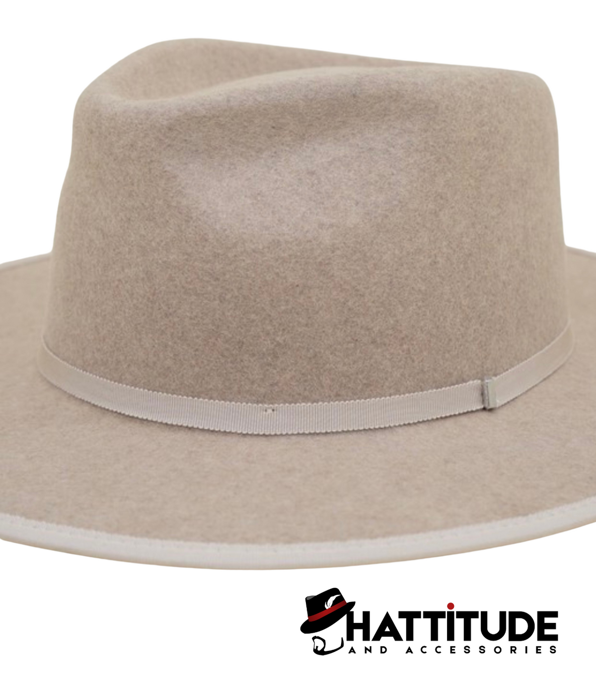 Lotus - Hattitude